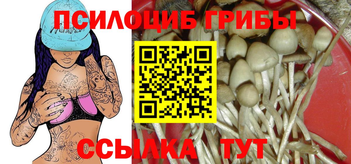 Наро-Фоминск  Псилоцибиновые грибы мицелий  Псилоцибиновые грибы Psilocybine cubensis  Вход с VPN 